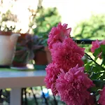 L'orchidea Bed & Breakfast Palestrina