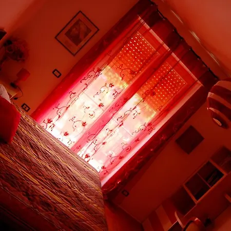 Bed & Breakfast L'orchidea Palestrina