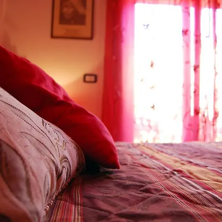 L'orchidea Oda ve Kahvaltı Palestrina