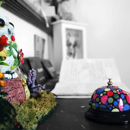 L'orchidea *