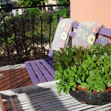 L'orchidea Palestrina