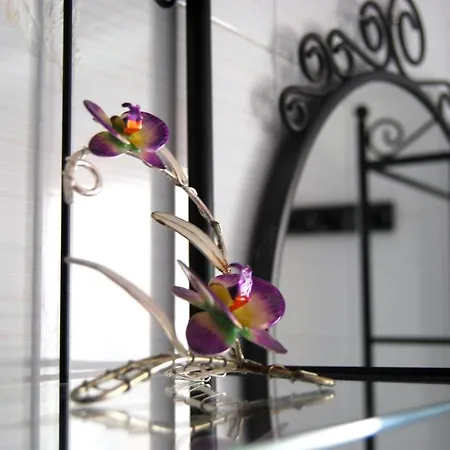 ベッド・アンド・ブレックファスト L'orchidea