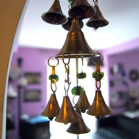 L'orchidea