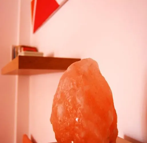 L'orchidea * Palestrina