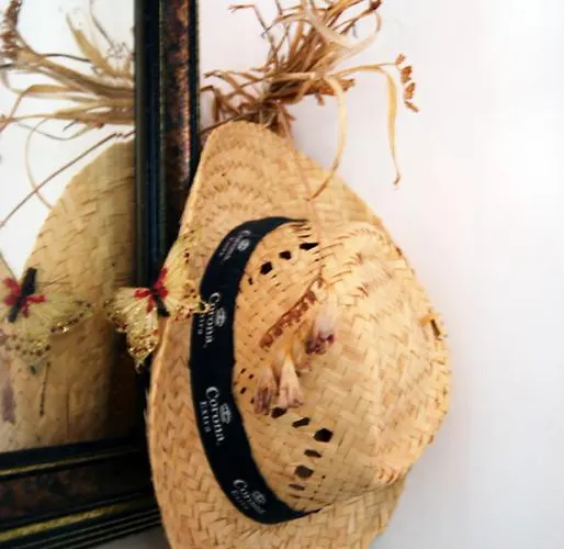 Bed and Breakfast L'orchidea *