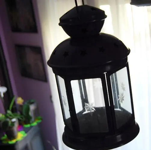 L'orchidea Bed and Breakfast Palestrina