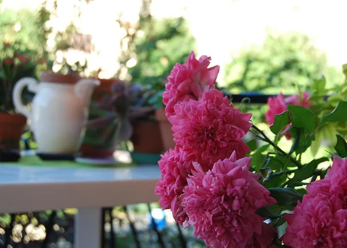 L'orchidea Bed and Breakfast Palestrina