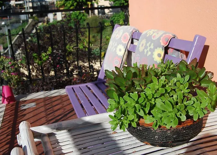 L'orchidea Palestrina