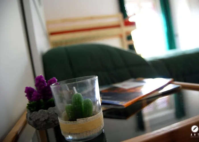 L'orchidea Palestrina