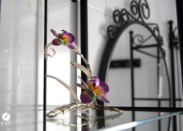 Bed and Breakfast L'orchidea