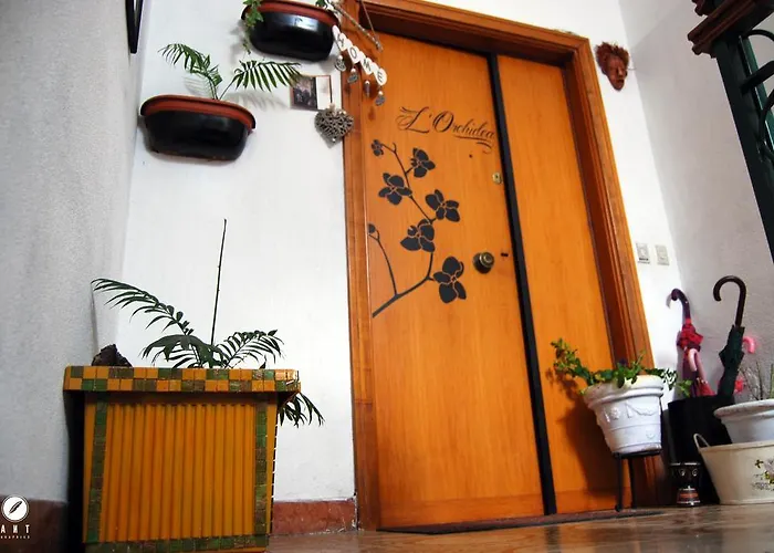 Bed and Breakfast L'orchidea *