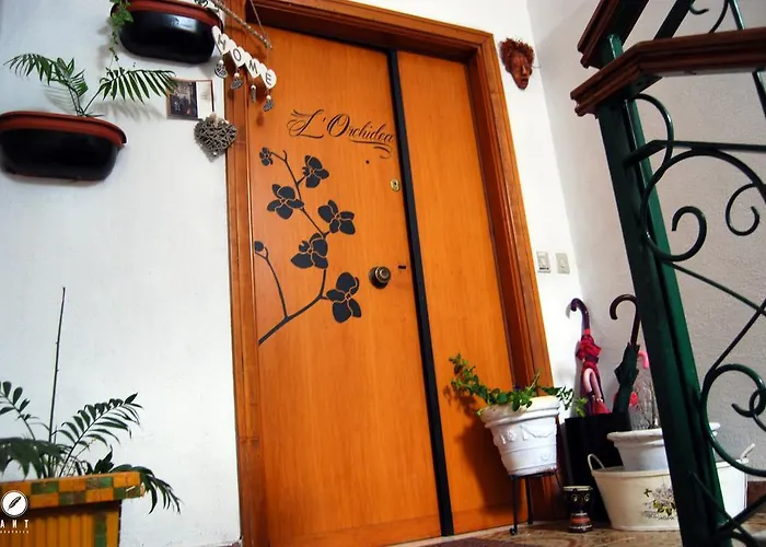 Bed and Breakfast L'orchidea Palestrina