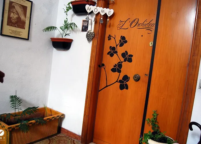 Bed and Breakfast L'orchidea Palestrina