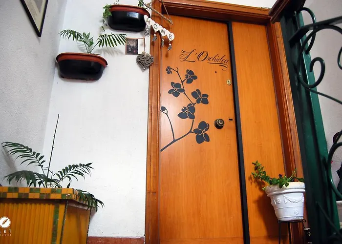 L'orchidea Palestrina